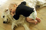 Galeria Golden Retriever