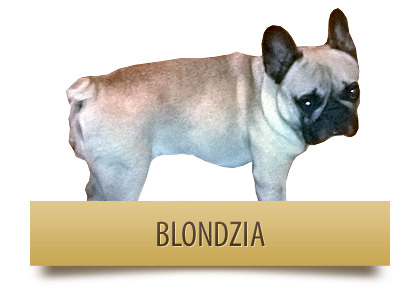 BLONDZIA