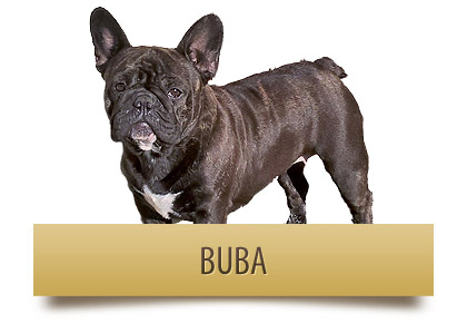 BUBA