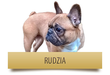 RUDZIA
