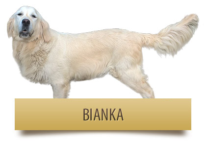Bianka